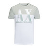 ARMANI EXCHANGE阿玛尼奢侈品男士短袖针织T恤衫3ZZTCG-ZJA5Z WHITE-2955 XL