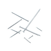 思派尔 水泥钉 60mm    小盒0.5斤/盒