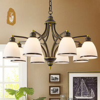 子兰 子兰美式吊灯 ZD2041-6X 40-79W