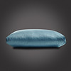 艾维（I-WILL）枕头枕芯 全棉白鹅毛婚庆床上用品枕头芯 单只装 48*74cm白鹅毛枕*湖蓝