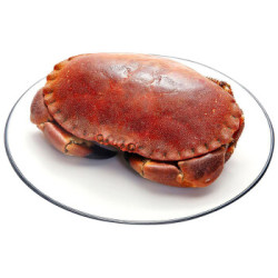 WECOOK 味库 鲜活面包蟹 400-600g *2件