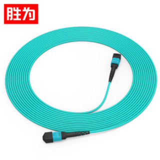 胜为(shengwei)光纤跳线MPO-MPO母头8芯 10米 网线多模OM4万兆40G光模块集束光纤 FMPP-8010