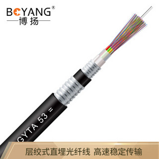 博扬（BOYANG）BY-GYTA53-96B1.3重铠地埋96芯单模室外光缆 GYTA53层绞式直埋网线光纤线 2000米轴