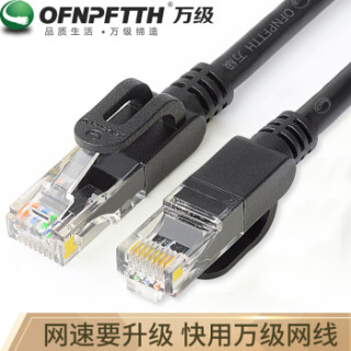 万级(OFNPFTTH)超五类网线 CAT5e类百兆网络跳线 超5类高速成品电脑宽带连接线 黑色 3米