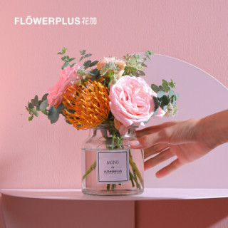 花加(FLOWERPLUS)miniplus桌花包月鲜花 包月4束 隔周配送 包月4束(隔周配送) 周六收花 定制