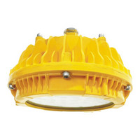 WZRLFB LED防爆平台灯 RLB157-a 金黄色 50W