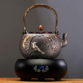 束氏 生铁壶日本工艺茶壶烧水壶泡茶壶手工铸铁壶电陶炉套装茶具-鹊上枝头