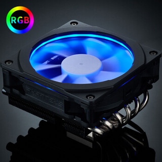 PHANTEKS 追风者 PH-TC12LS_RGB 风冷散热器 RGB