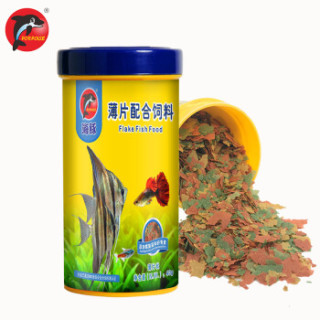 PORPOISE 孔雀鱼饲料40g薄片鱼食上浮型 米奇灯科鱼小型热带鱼饲料增色鱼粮