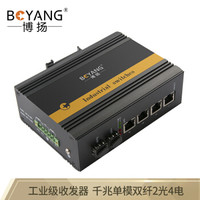 博扬（BOYANG）BY-GG204S 工业级光纤收发器 千兆二光四电单模双纤以太网交换机 含电源DC12～58V不含模块