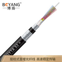 博扬（BOYANG）BY-GYTA53-48B1.3重铠地埋48芯单模室外光缆 GYTA53层绞式直埋网线光纤线 100米