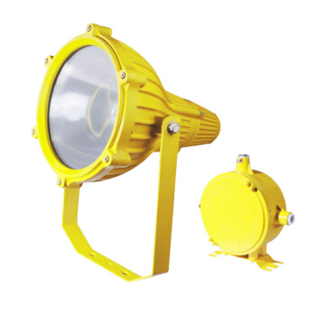 WZRLFB 金属卤化物防爆灯 RLB82-g 金黄色 400W