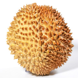 泰国进口 金枕冷冻整榴莲1个 约2.5-3kg