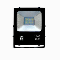 光升 RYS-TG3250 太阳能投光灯 太阳能灯 户外灯 厂房天棚灯 路灯 花园照明灯 50W