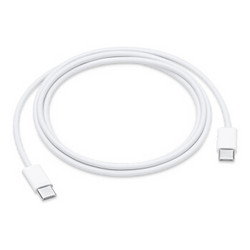 Apple USB-C/雷霆3 充电线 (1 米)