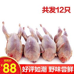 农家散养鹌鹑肉 约120g/只 6只装 *2件