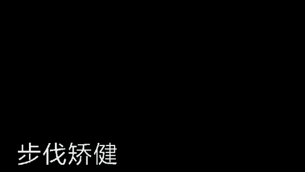 你看这个龟 它又小又圆