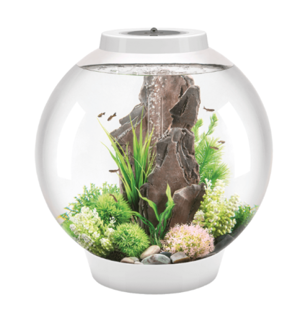 商品biorb 经典水景鱼缸 60l