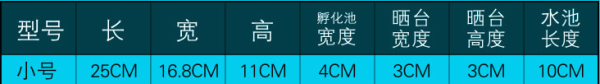 你看这个龟 它又小又圆