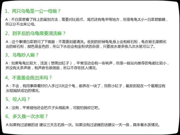 你看这个龟 它又小又圆