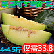 净重5-5.5斤两个瓜，日本静冈网纹瓜蜜瓜海阳网纹瓜甜度18以上不甜退钱