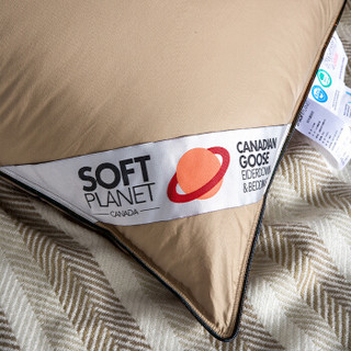 soft planet SP20180816009 白鹅绒枕头 (卡其色、单人、48*74cm、单支装)