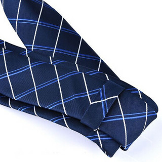 杜森纳(DUSENNA)男士领带正装商务结婚新郎韩版领带礼盒装经典 领带条纹 蓝白格子
