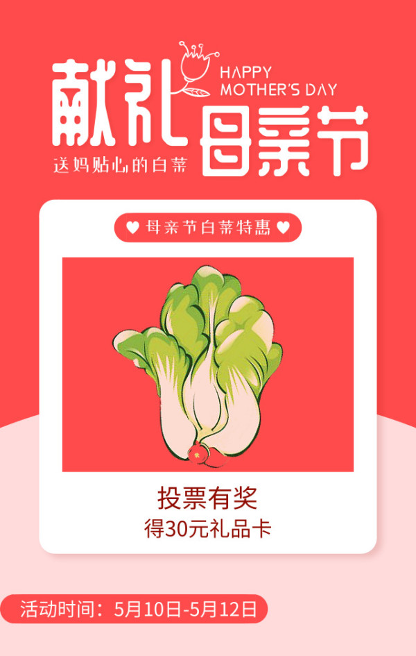 爱在心里 贴心白菜送到咱妈手里