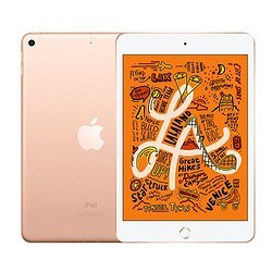 Apple 苹果 新iPad mini 7.9英寸平板电脑 WLAN 64G