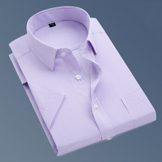 鳄鱼恤（CROCODILE）衬衫 男士竖条商务休闲职业正装大码短袖衬衫 D82 紫D08-1 2XL/41