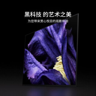 索尼(SONY)KD-55A9F 55英寸 4KHDR OLED安卓8.0智能电视 人工智能(黑色)
