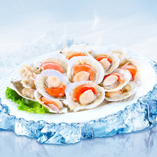 獐子岛 冷冻半壳虾夷扇贝 850g（有卵9-10） 袋装 烧烤食材 自营海鲜水产