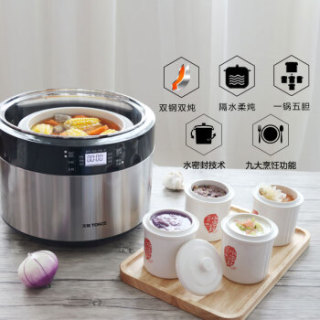 天际(TONZE)电炖锅隔水炖 双层不锈钢直炖煮粥煲汤1锅5胆DGD35-35EWG 3.5L