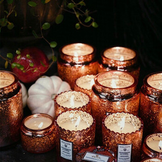 VOLUSPA香薰蜡烛 Japonica 山茶花系列蕾丝杯天然椰子蜡 日本梅花176克