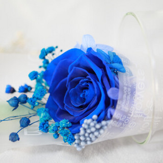 钟爱   蓝色妖姬永生花礼盒七彩发光玻璃罩玫瑰鲜花速递生日520情人节母亲节