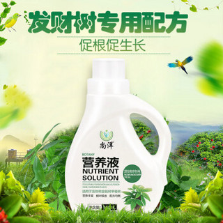 尚洋 发财树营养液 500ML/瓶 家庭园艺肥料 园艺种植液体肥 发财树浓缩营养液