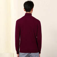 Hodo 红豆 多彩系列简约商务纯羊毛高领羊毛衫 DXHSM327S