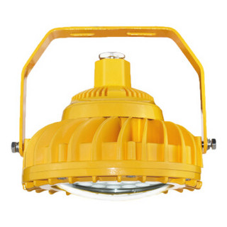 WZRLFB LED防爆泛光灯 RLB156-c 金黄色 30W