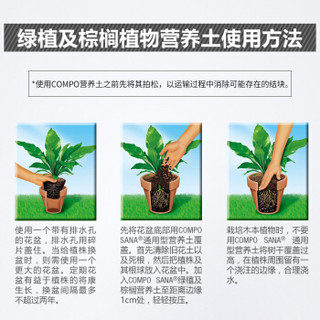 德国进口 COMPO 家庭园艺室内外绿植盆栽泥炭种植土棕榈植物型营养土 10L