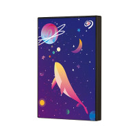 学生专享：SEAGATE 希捷 Backup Plus 铭系列 2.5英寸 移动硬盘 2TB 星辰瀚海