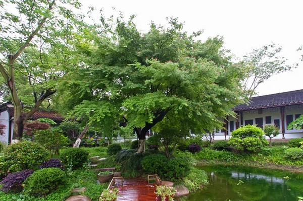 酒店特惠：宿钱塘江畔，游古镇观大潮！浙江海宁开元颐居开元颐居·盐官观潮阁店1晚+下午茶