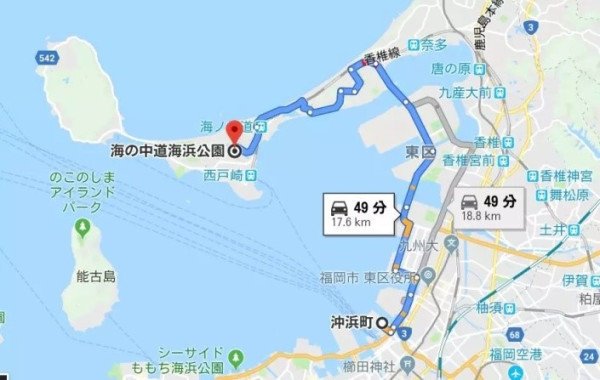 移动专享：邮轮岸上观光接驳车 9人商务/40人大巴