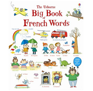 《Big Book of French Words 法语单词大书》进口原版