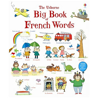 尤斯伯恩《Big Book of French Words 法语单词大书》进口原版