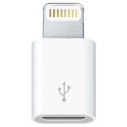 Apple 闪电转 Micro USB 转换器
