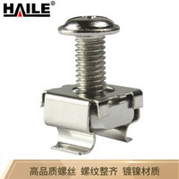 海乐（Haile）LS-M6-20 M6号高品质机柜专用十字螺丝 20套/袋