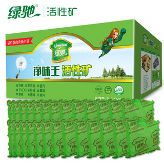 Greensky 绿驰 2600g净味王新房装修家具汽车甲醛清除剂 去除甲醛苯除油漆味竹炭活性炭碳包强力型金装