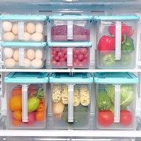HAIXIN海兴冰箱收纳盒保鲜盒透明塑料鸡蛋盒抽屉收纳储物盒水果食物百纳箱9L 1只装