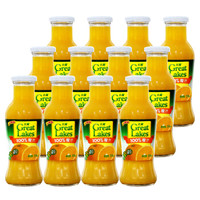Great Lakes 大湖橙汁 100%果汁 饮料 255ml×12瓶 整箱装