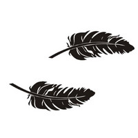 萱胜特 防水防晒车贴 2个汽车任意贴遮盖划痕贴 羽毛车身贴 黑色 尺寸:14*5cm